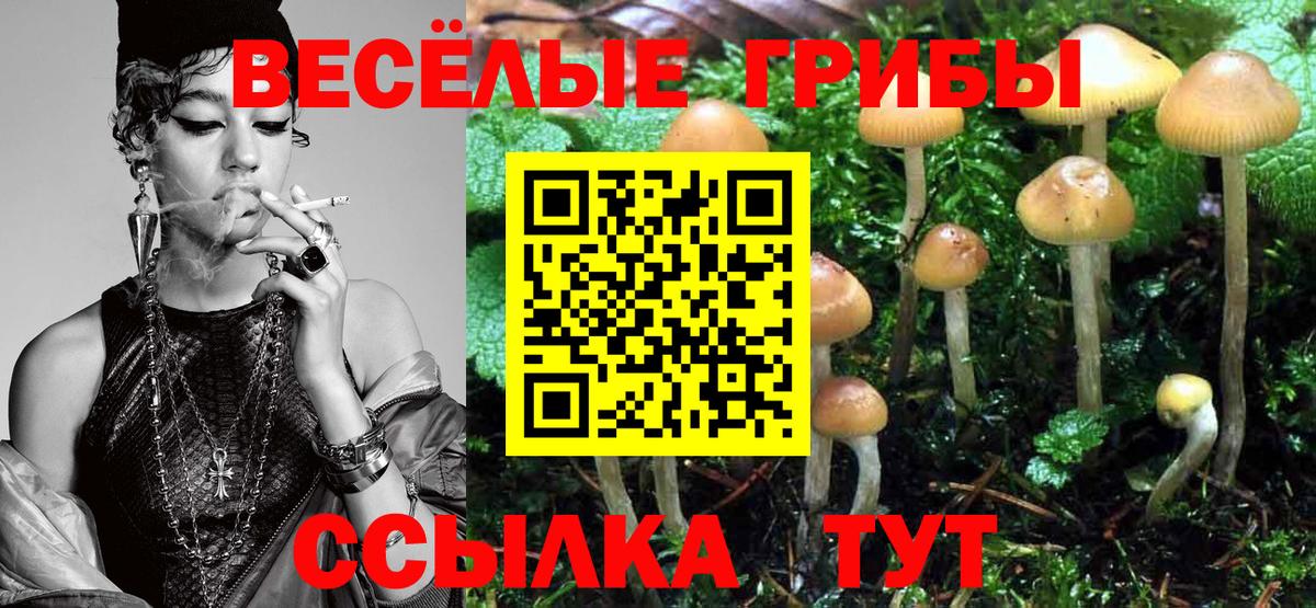 Галлюциногенные грибы мухоморы  Вход с VPN  наркошоп  Фрязино 